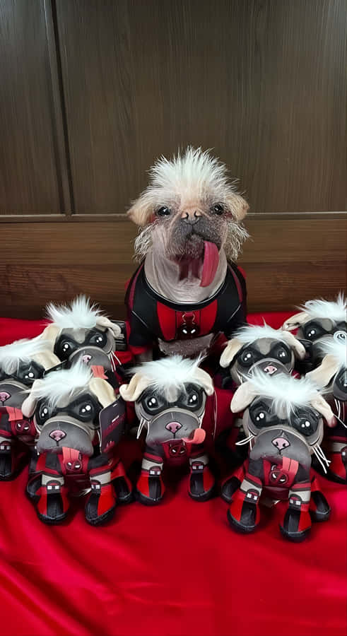 Dogpool And Mini Me Collection Wallpaper