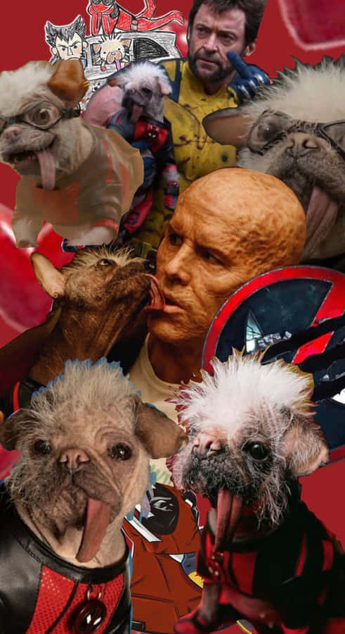 Dogpool Canine Mashup Wallpaper