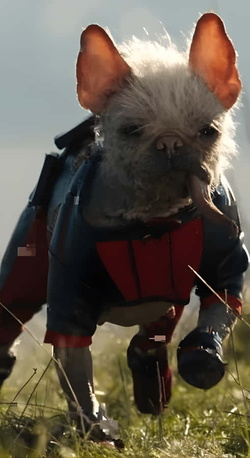 Dogpool Inspired Cybernetic Dog Wallpaper