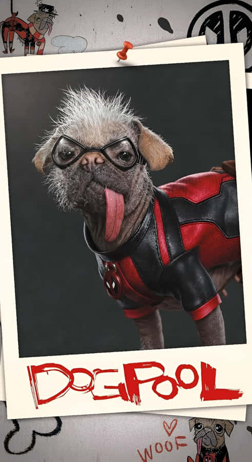 Dogpool The Quirky Canine Hero Wallpaper