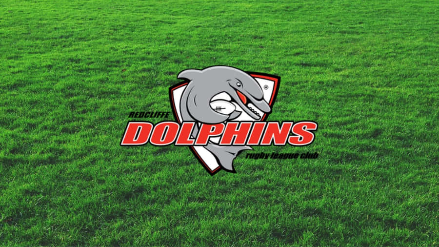 Dolphins Nrl Wallpaper