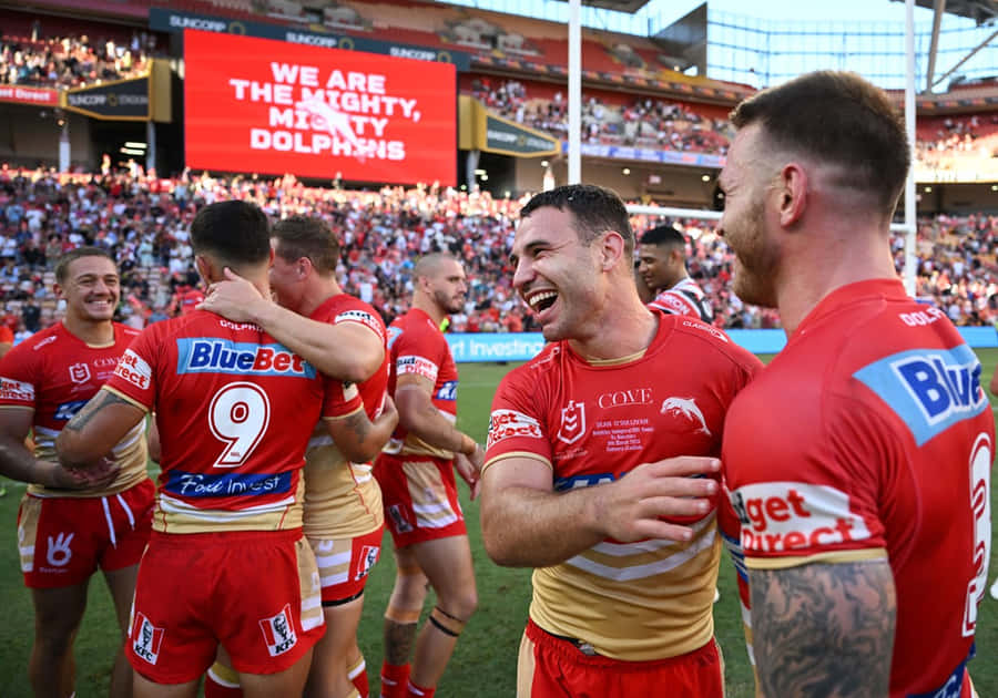 Dolphins Nrl Wallpaper