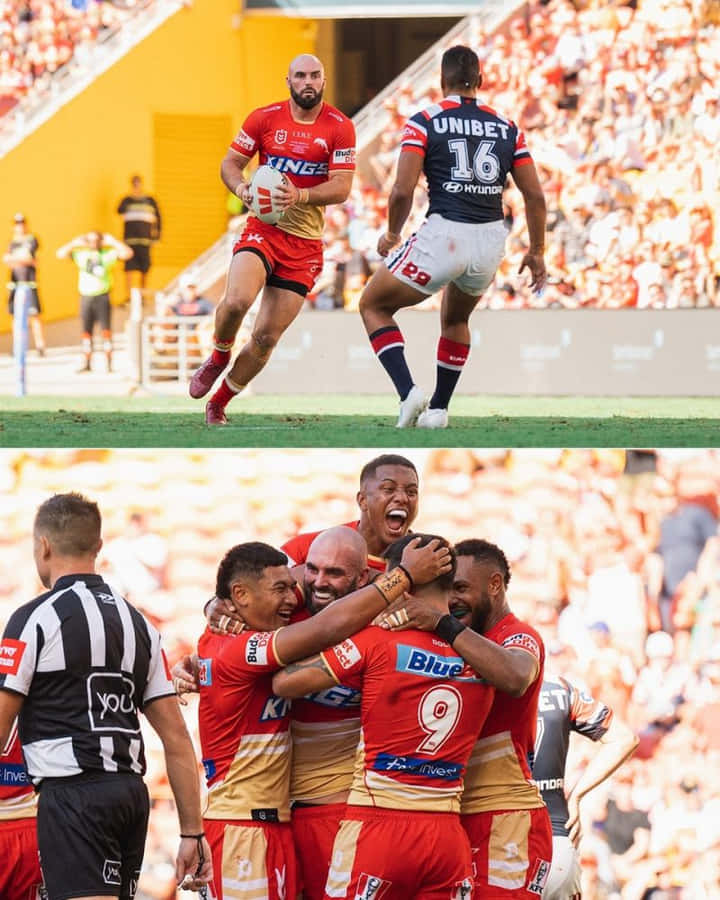 Dolphins Nrl Wallpaper