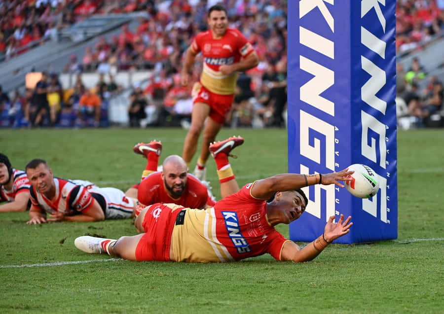 Dolphins Nrl Wallpaper