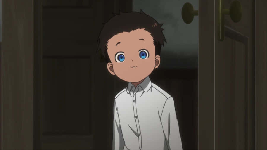 Don From The Promised Neverland Anime Wallpaper