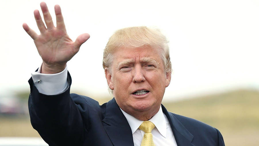 Donald Trump In Field Wallpaper