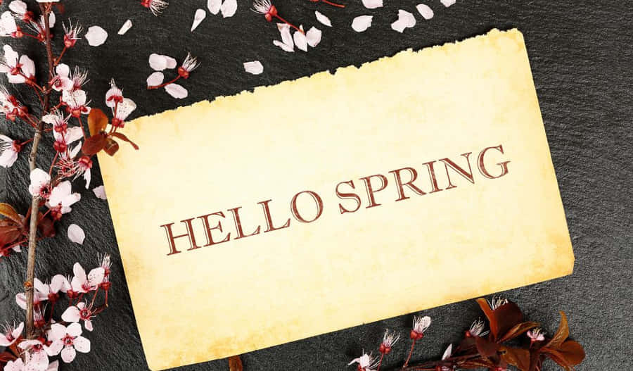 Drawing Ethereal Vibes From Nature Wallpaper