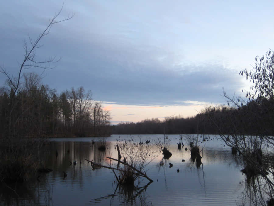 Duck Hunting Wallpaper