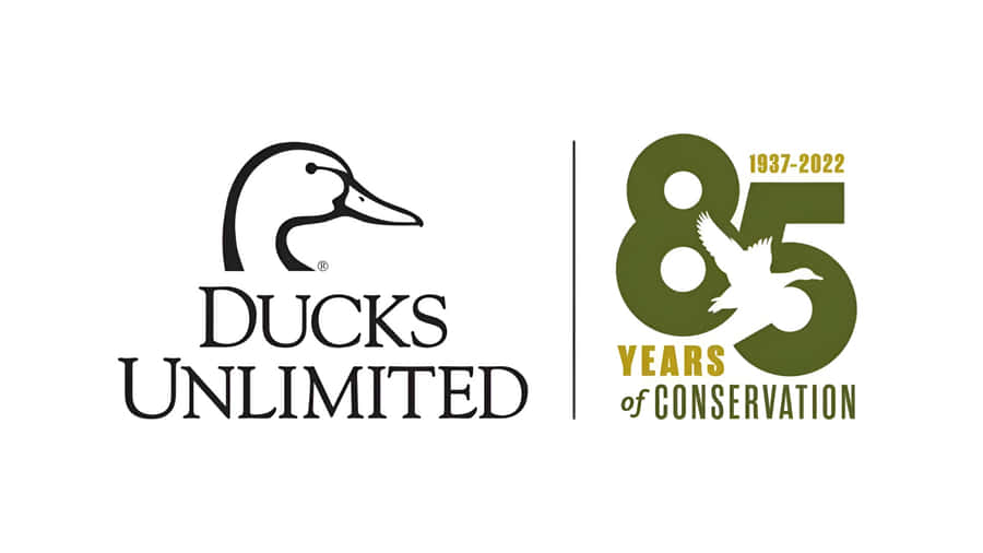 Ducks Unlimited Conservation Anniversary Wallpaper