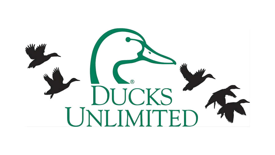 Ducks Unlimited Conservation Logo Wallpaper