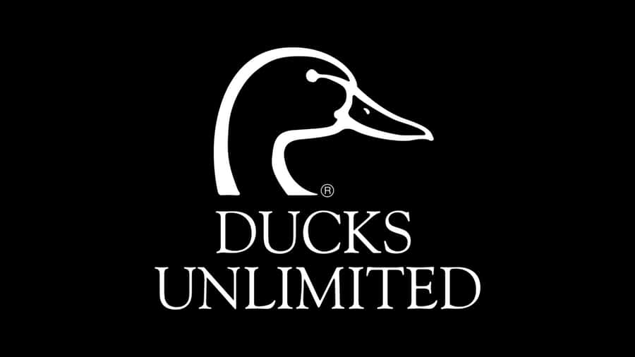 Ducks Unlimited Logo Wallpaper