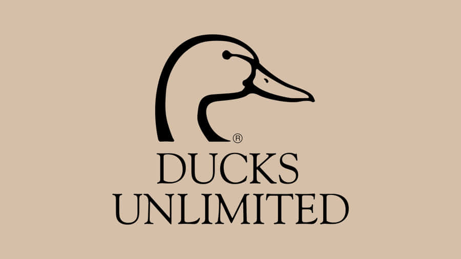 Ducks Unlimited Logo Design Wallpaper