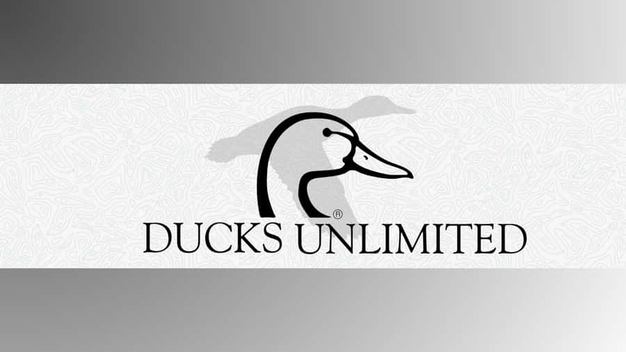 Ducks Unlimited Logo Design Wallpaper
