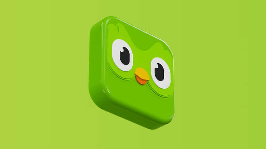 Duolingo Green Owl Mascot Wallpaper