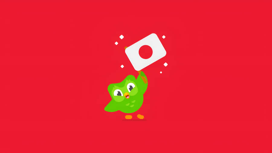 Duolingo Japanese Language Course Wallpaper