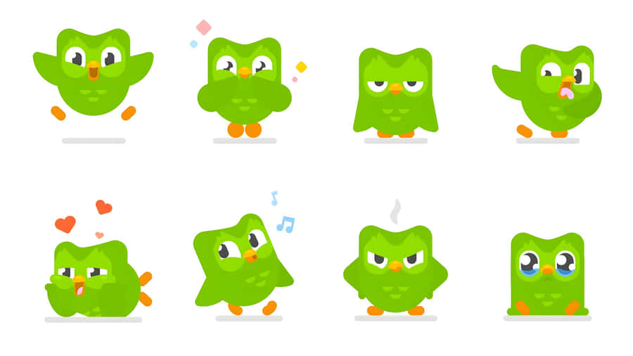 Duolingo Owl Emotions Wallpaper