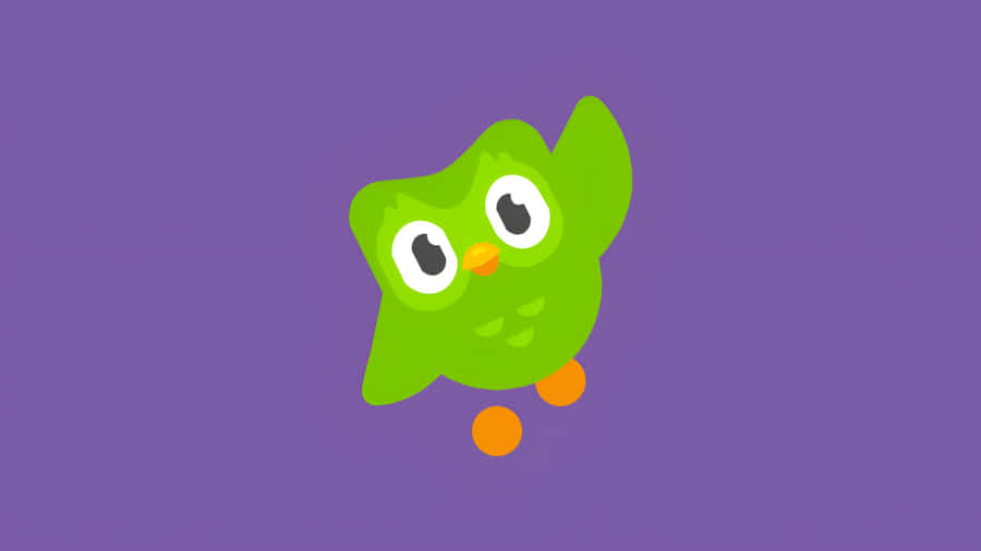 Duolingo Owl Mascot Wallpaper