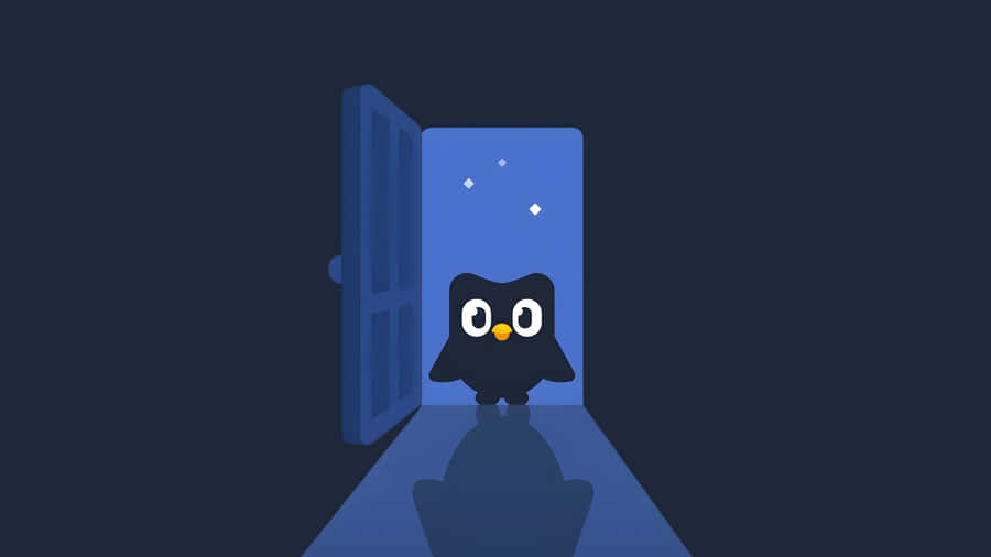 Duolingos Nighttime Owl Wallpaper