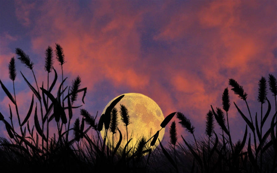 Dusk Moon Night Sky Wallpaper