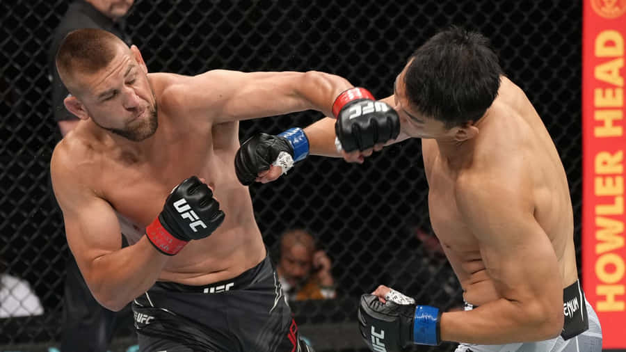 Dustin Jacoby In Action Against Da Un Jung In A Thrilling Mma Match Wallpaper
