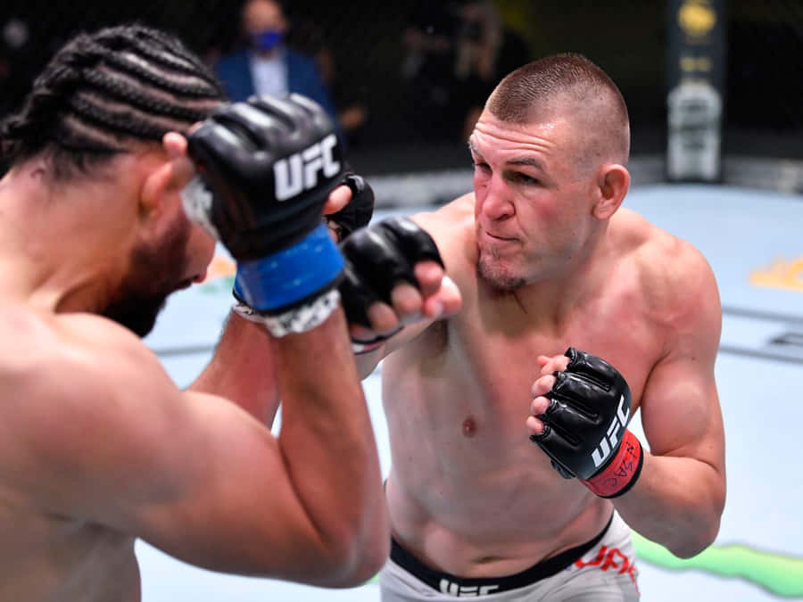 Dustin Jacoby Punching Justin Ledet Wallpaper