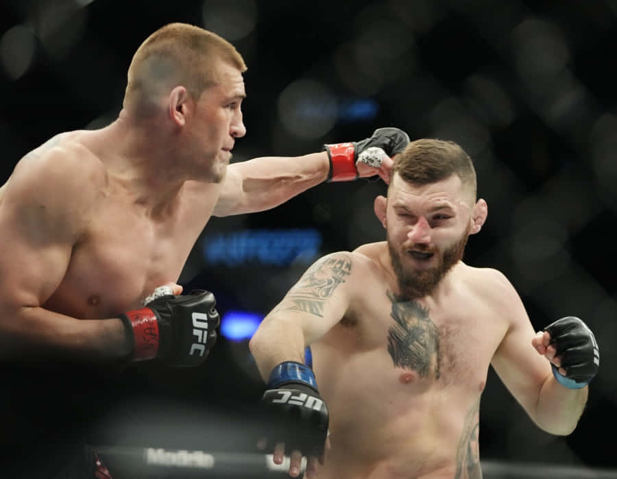 Dustin Jacoby Punching Michal Oleksiejczuk Wallpaper