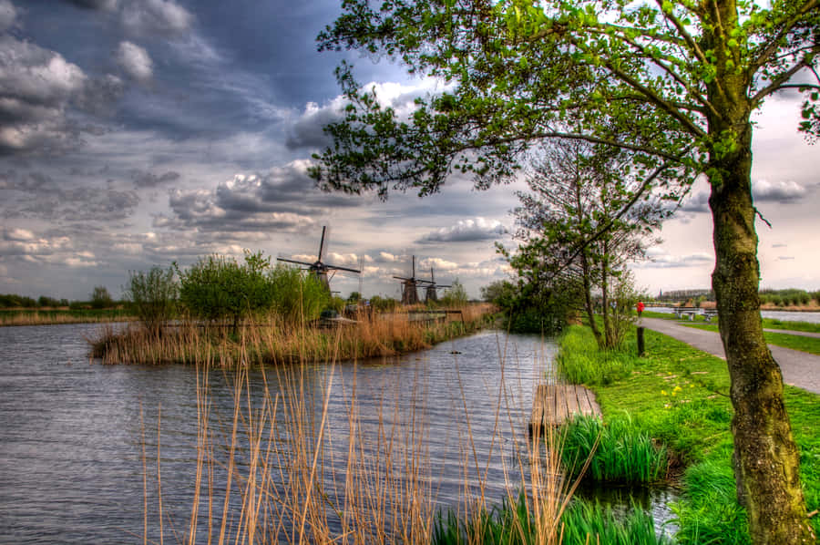 Dutch Windmills By Water Wallpaper