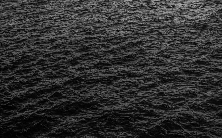 Dynamic Monochrome Seascape Wallpaper