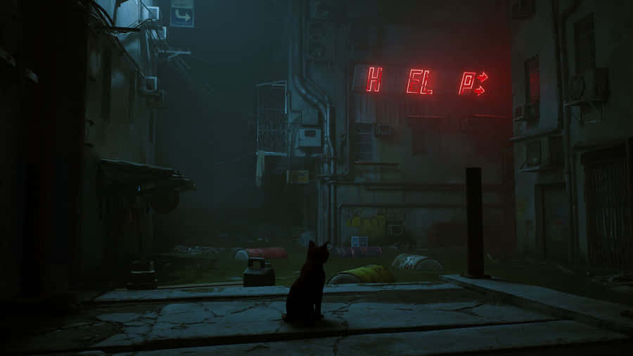 Dystopian Desolation_ Help Sign Cat.jpg Wallpaper