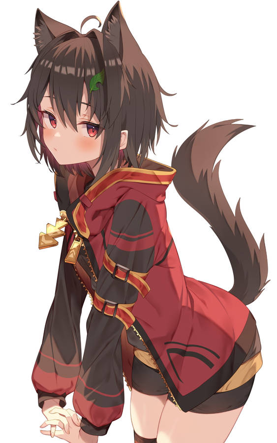 Ecchi Brown Fox Girl Wallpaper