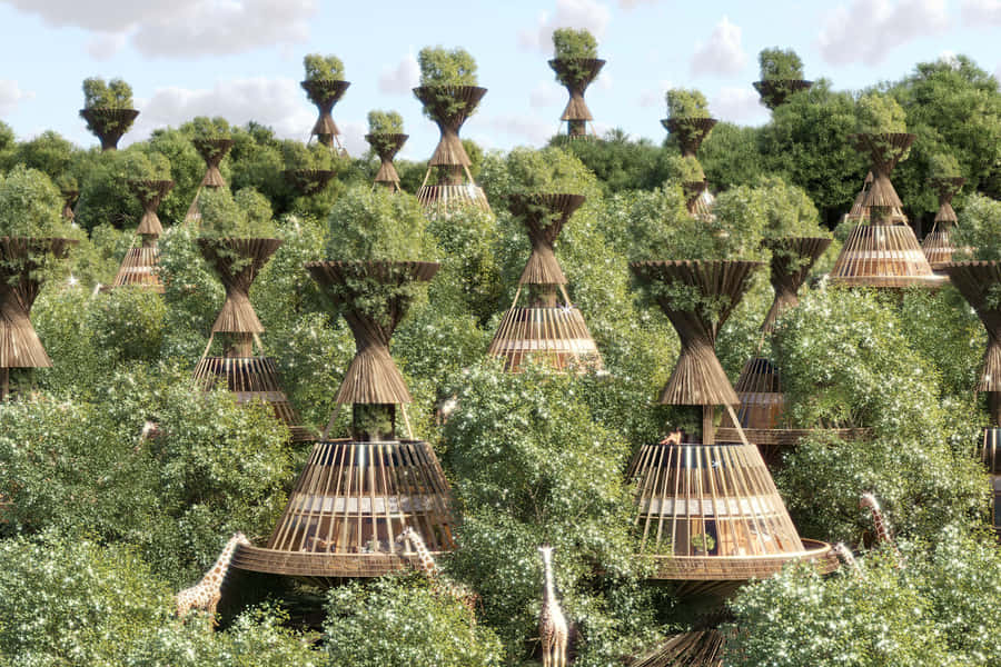 Eco-tourism Adventure In Lush Green Forest Wallpaper