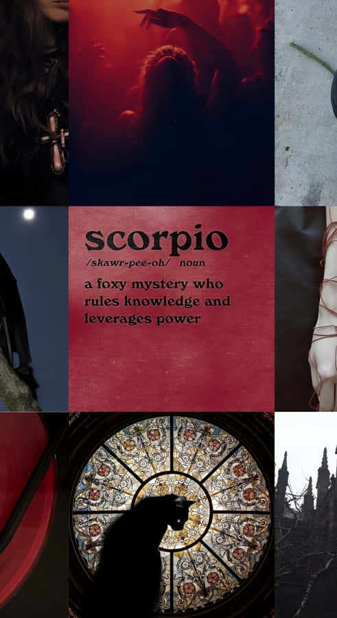 Edgy Scorpio Aesthetic Wallpaper