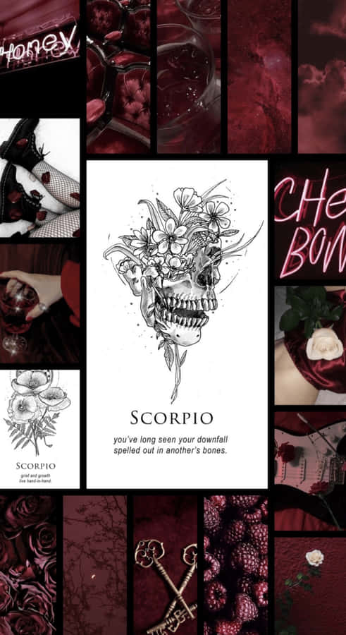 Edgy Scorpio Dark Aesthetic Wallpaper
