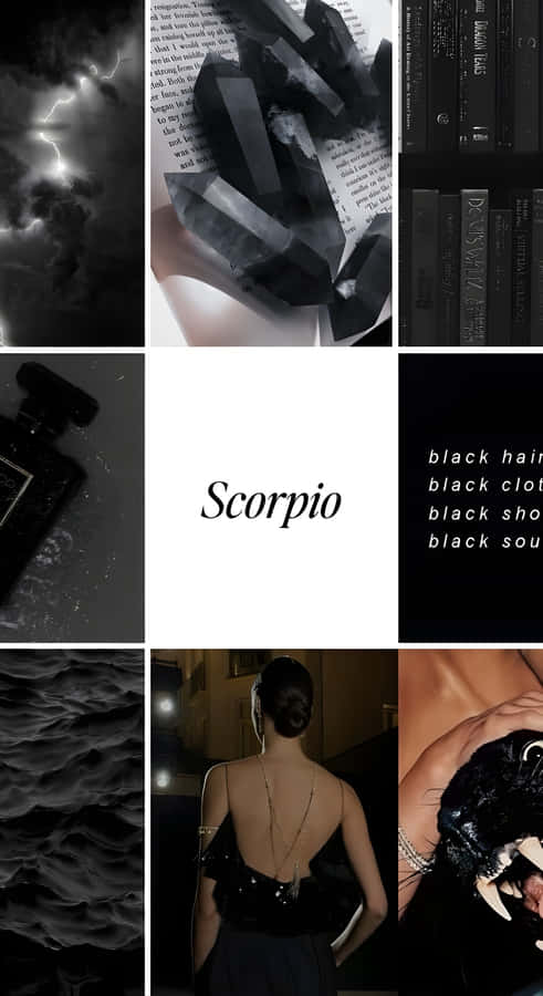 Edgy Scorpio Dark Aesthetic Wallpaper