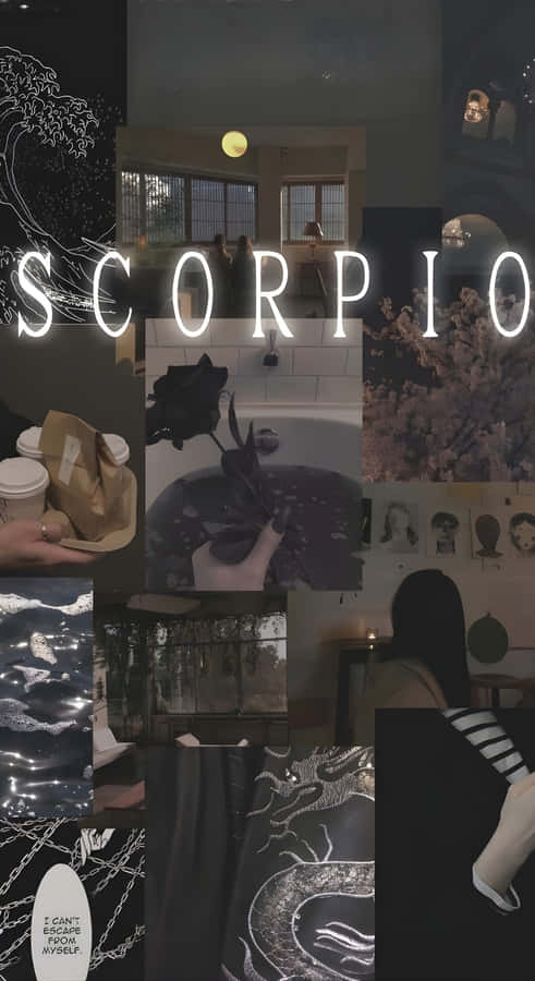 Edgy Scorpio Dark Vibes Wallpaper