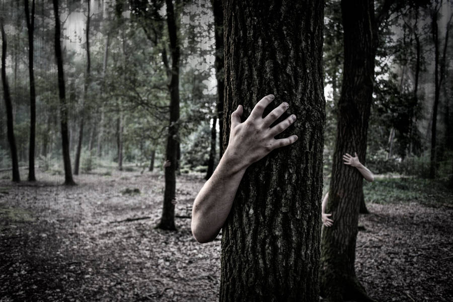 Eerily Intriguing Picture Of Ghostly Hands Grasping Tree Trunks Wallpaper