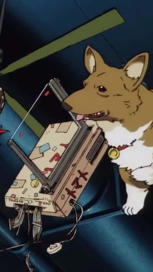 Ein The Welsh Corgi From Cowboy Bebop Wallpaper