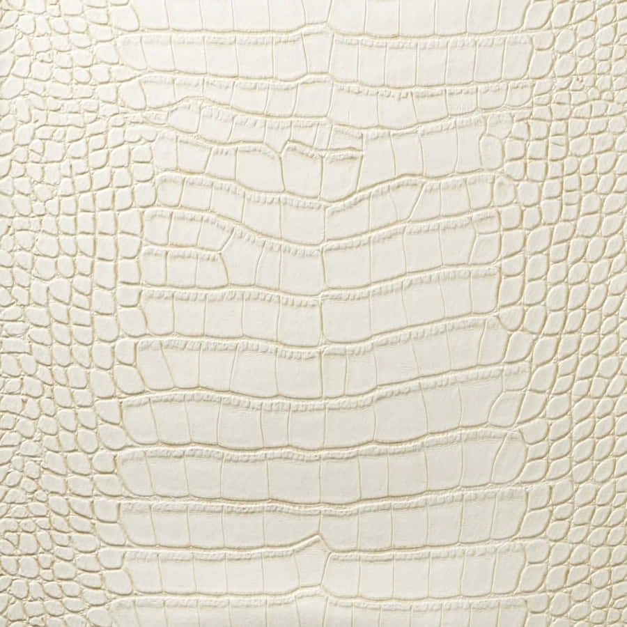 Elegant And Minimalist Cream Colored Texture Wallpaper