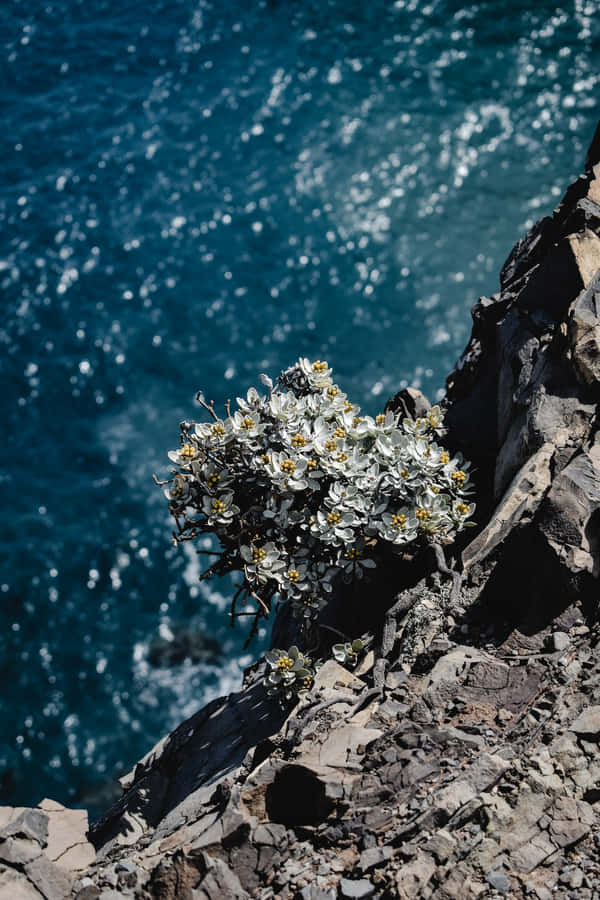 Elegant Blue Flowers On Phone Display Wallpaper