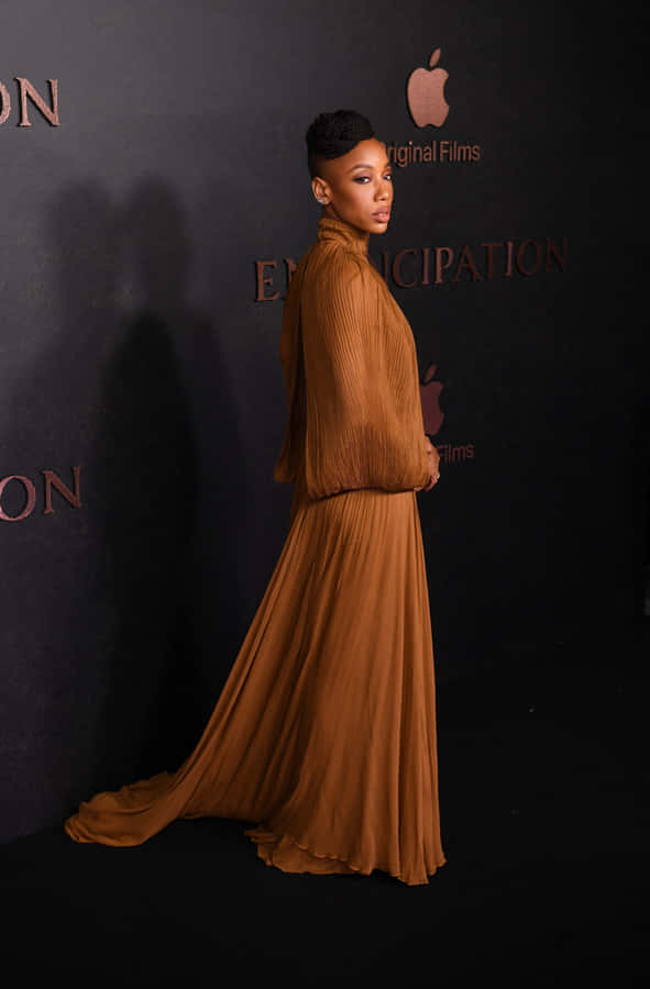 Elegant Brown Gownat Event Wallpaper