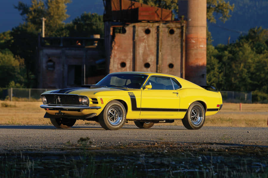 Elegant Ford Mustang Boss 302 In Full Speed Wallpaper
