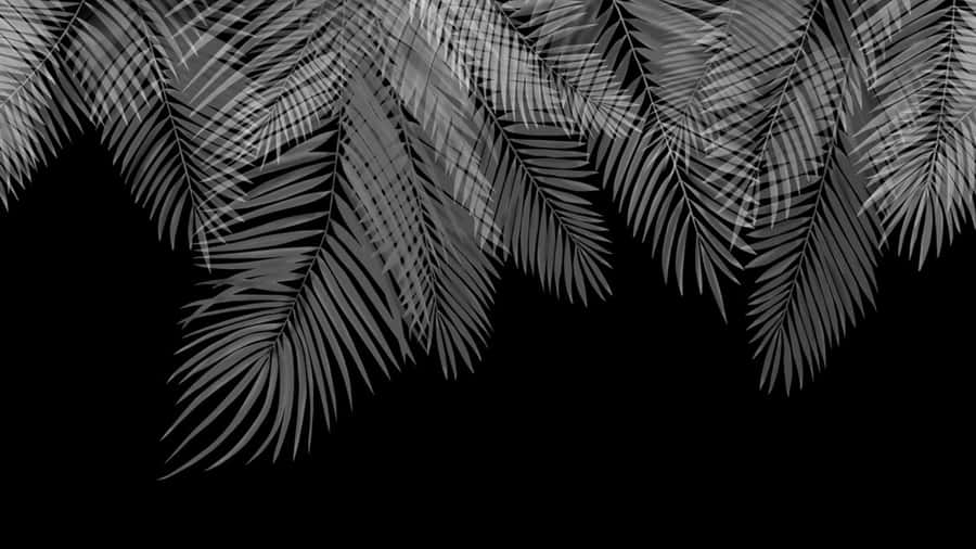Elegant Palm Leaf Silhouettes Wallpaper