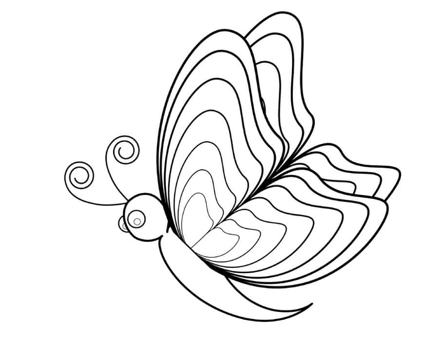 Elegant Swirls Butterfly Coloring Page Wallpaper