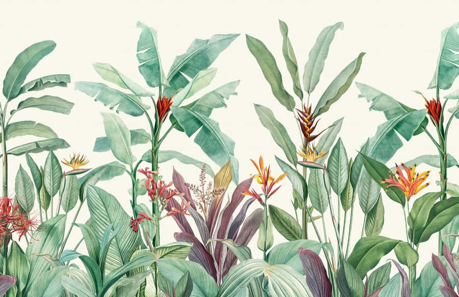 Elegant Vintage Setting With Antique Typewriter And Camera Wallpaper