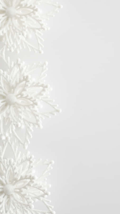 Elegant White Floral Design Wallpaper