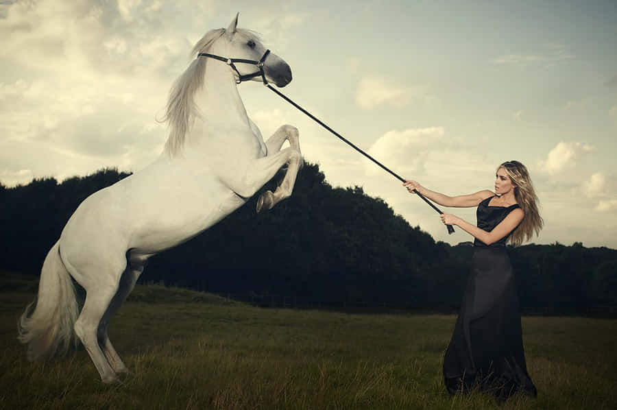 Elegant Womanand White Horsein Field Wallpaper