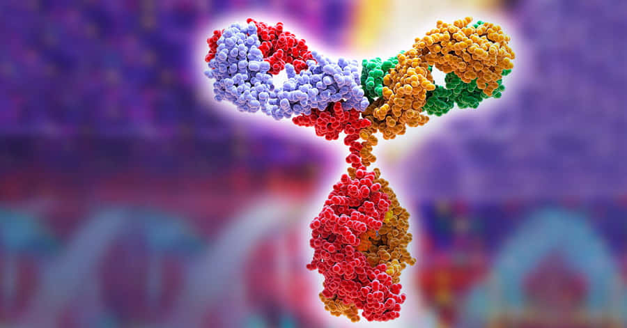 Eligible Function Of Monoclonal Antibody Wallpaper