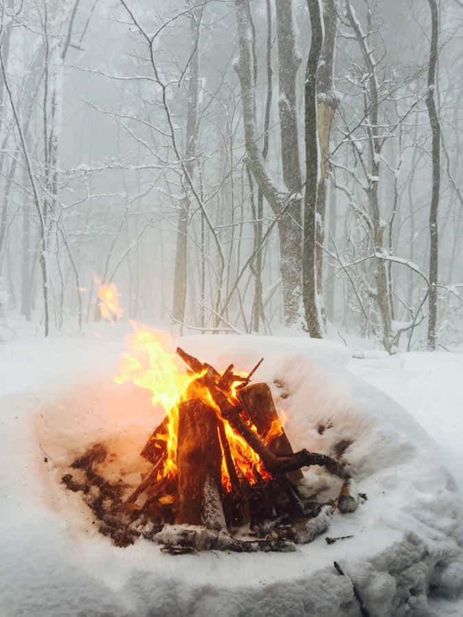 Embrace Serenity In The Crisp Winter Woods Wallpaper