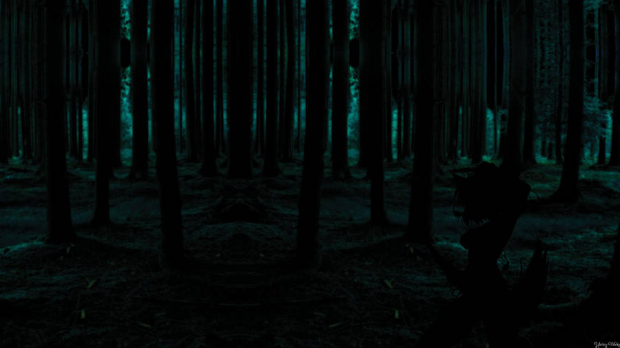 Embrace The Tranquility Of A Lone, Dark Forest At Night Wallpaper