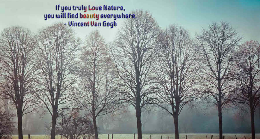 Embrace Your Natural Beauty Wallpaper